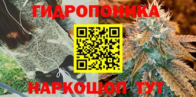 МДПВ Партизанск