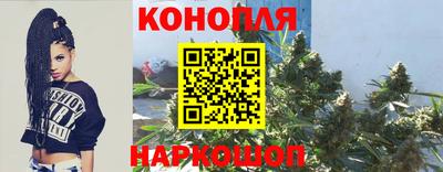 МДПВ Партизанск