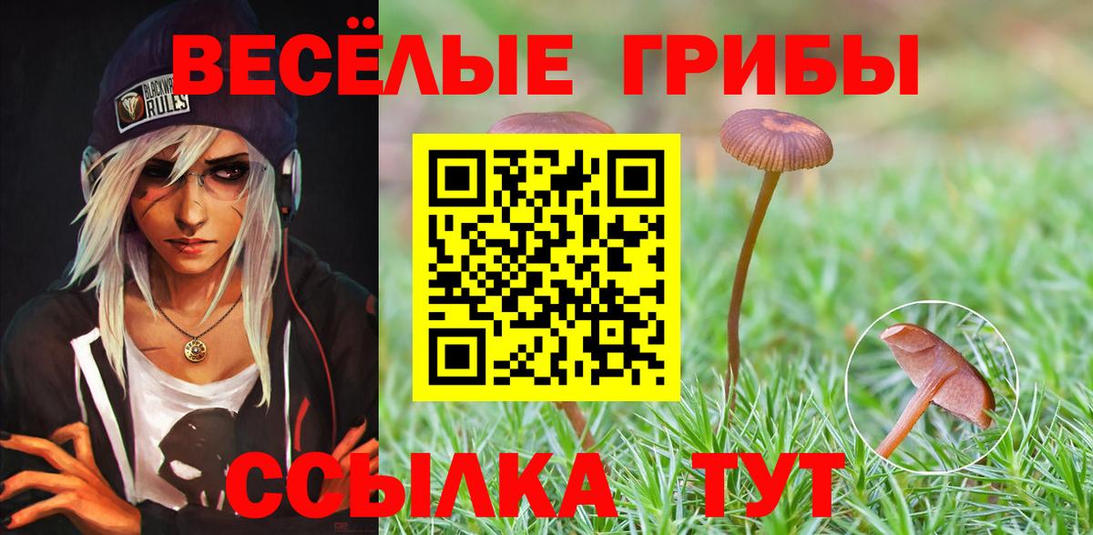 Галлюциногенные грибы прущие грибы  Вход с VPN  Галлюциногенные грибы Psilocybine cubensis  Соль-Илецк 